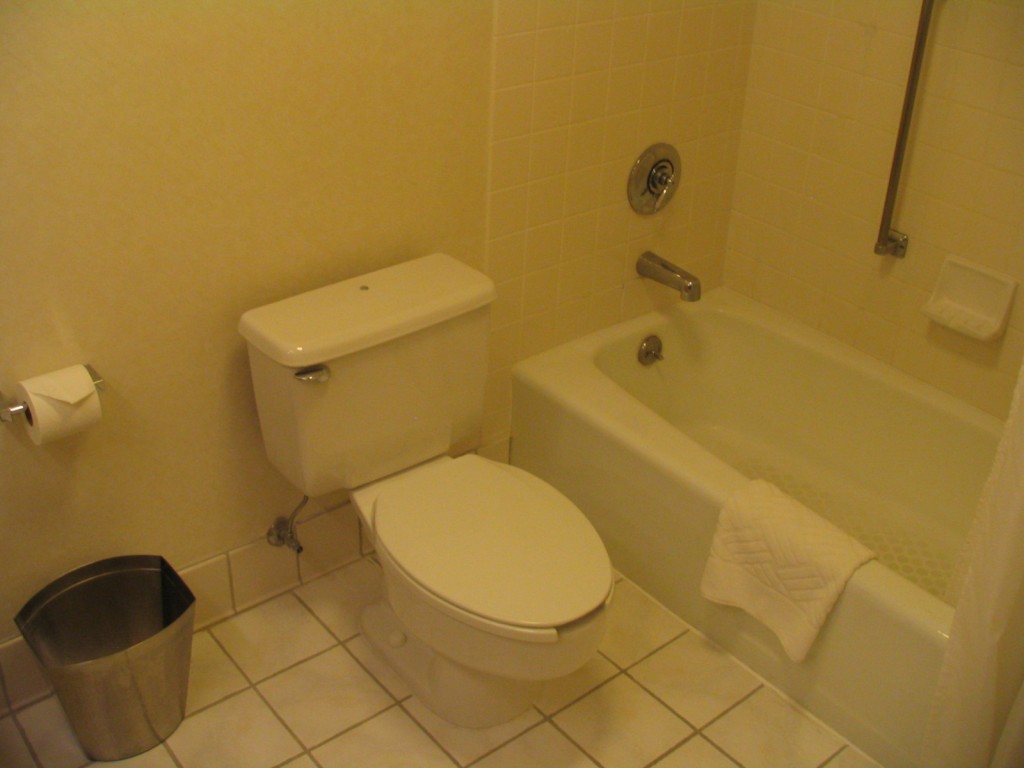 a bathroom with a toilet and bathtub