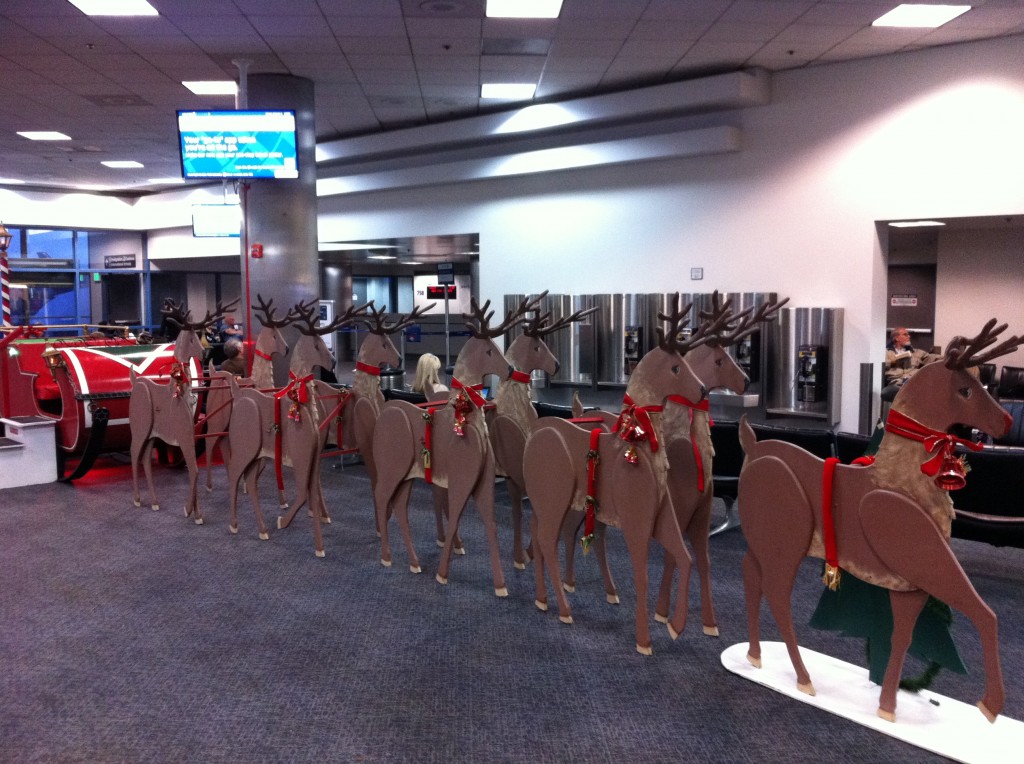 a group of reindeers in a line