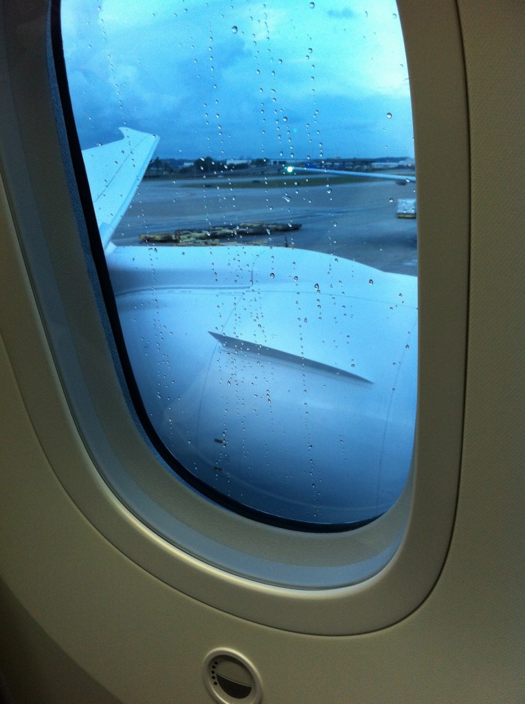 a window with raindrops on the wing