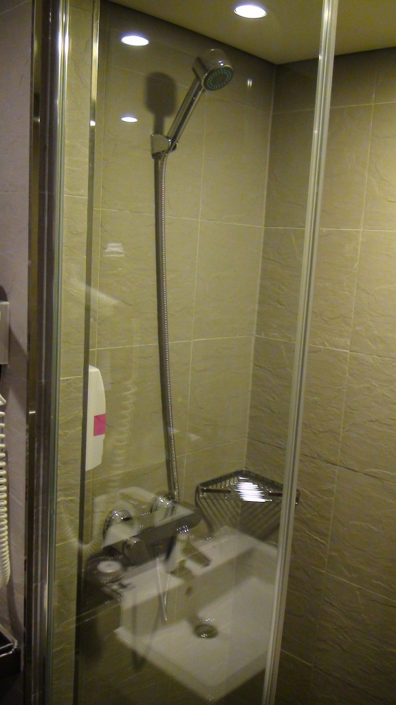 a shower with a toilet and a stand up shower